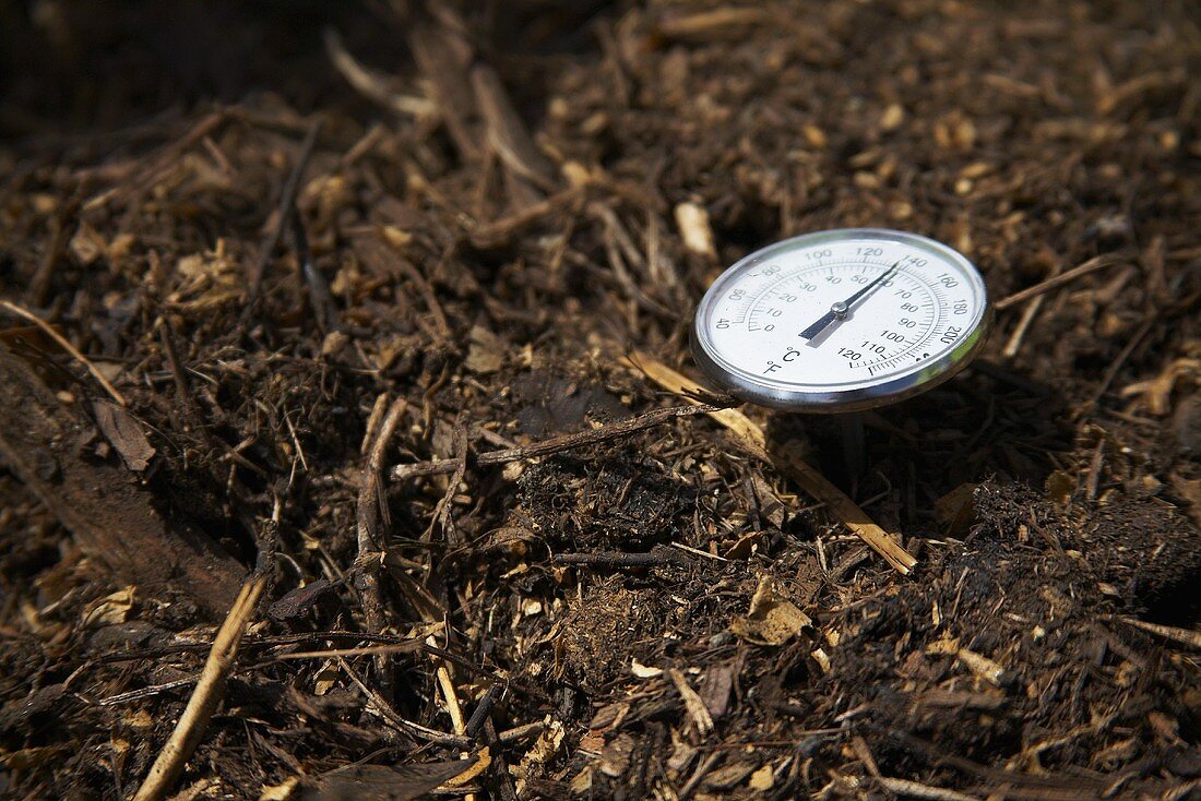 Thermometer in Manure 