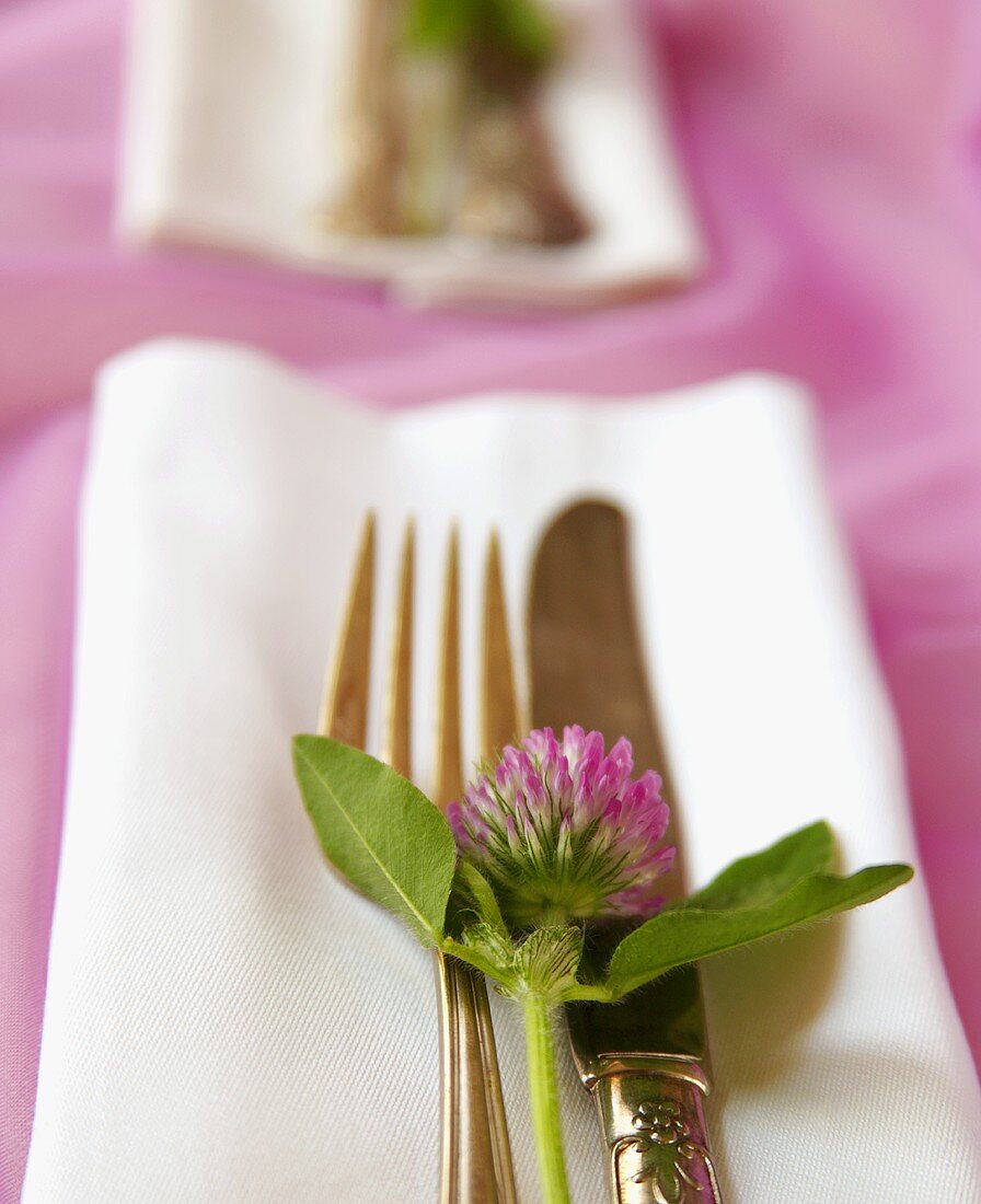 Place Setting with Clover