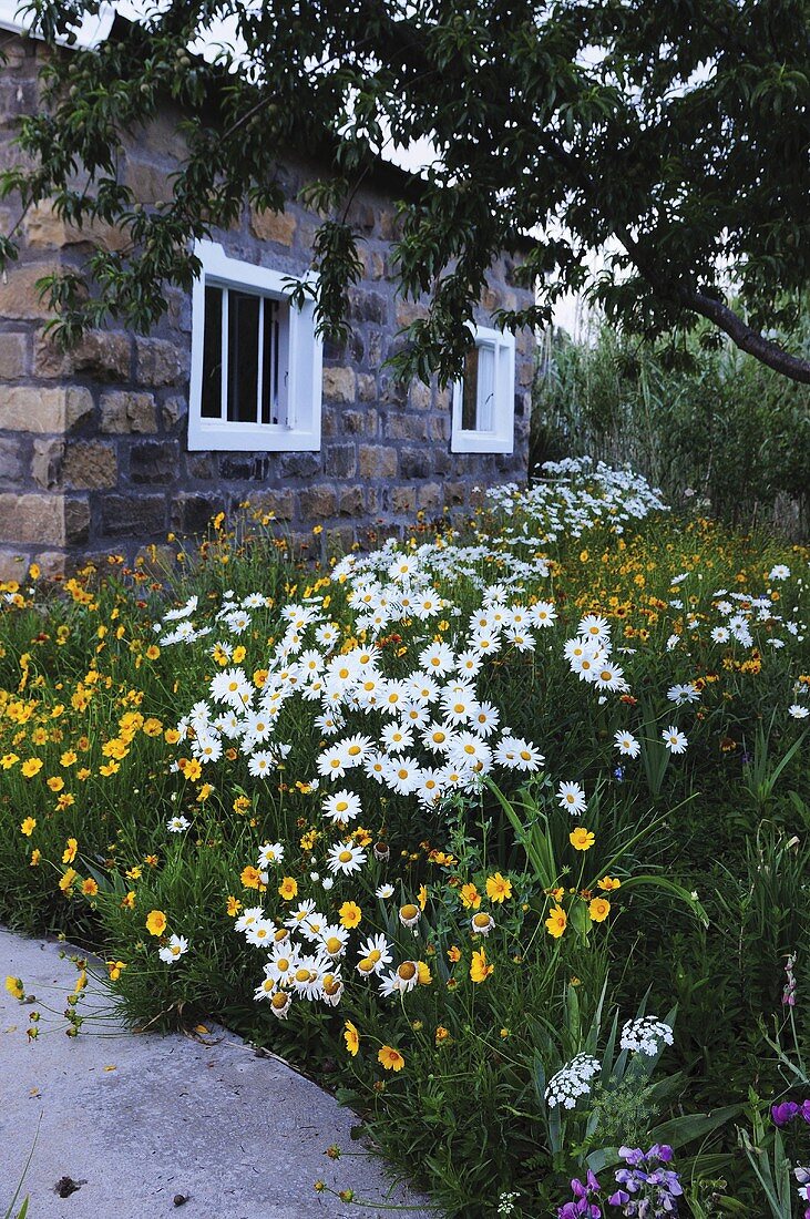 A flowering garden in front of a weekend house