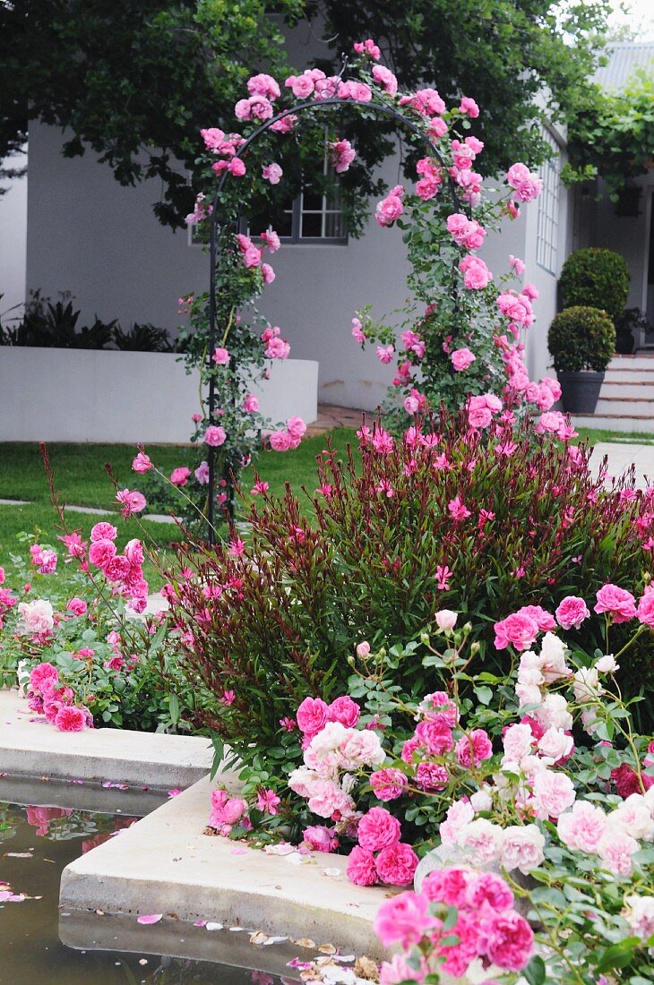 Ein Teich von Rosen umgeben in einem Garten