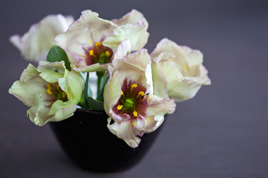 Lysianthus-Blumenstrauss