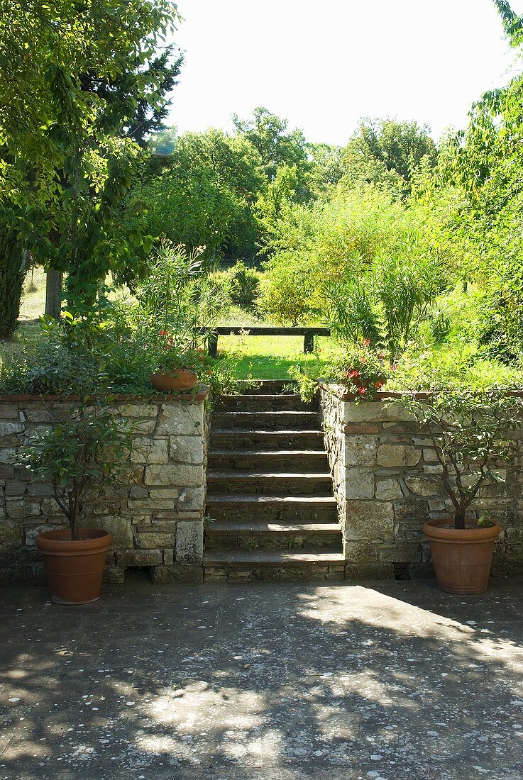 Steps leading from a terrace to a garden