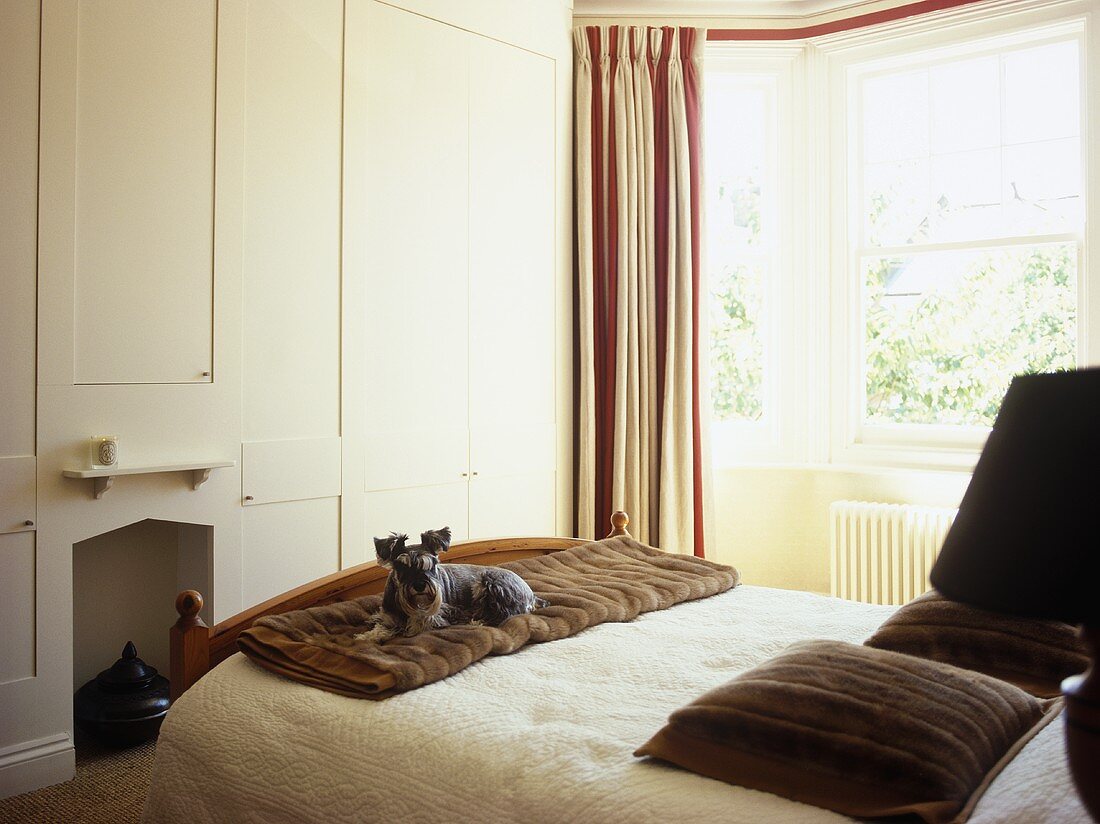 Dog on double bed facing built cupboards and wardrobes