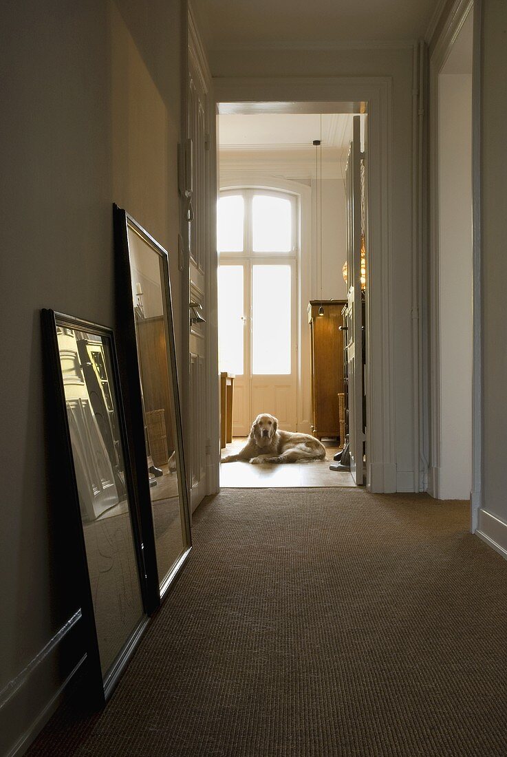 A hallway with pictures leaning against the wall and an dog lying in an open doorway