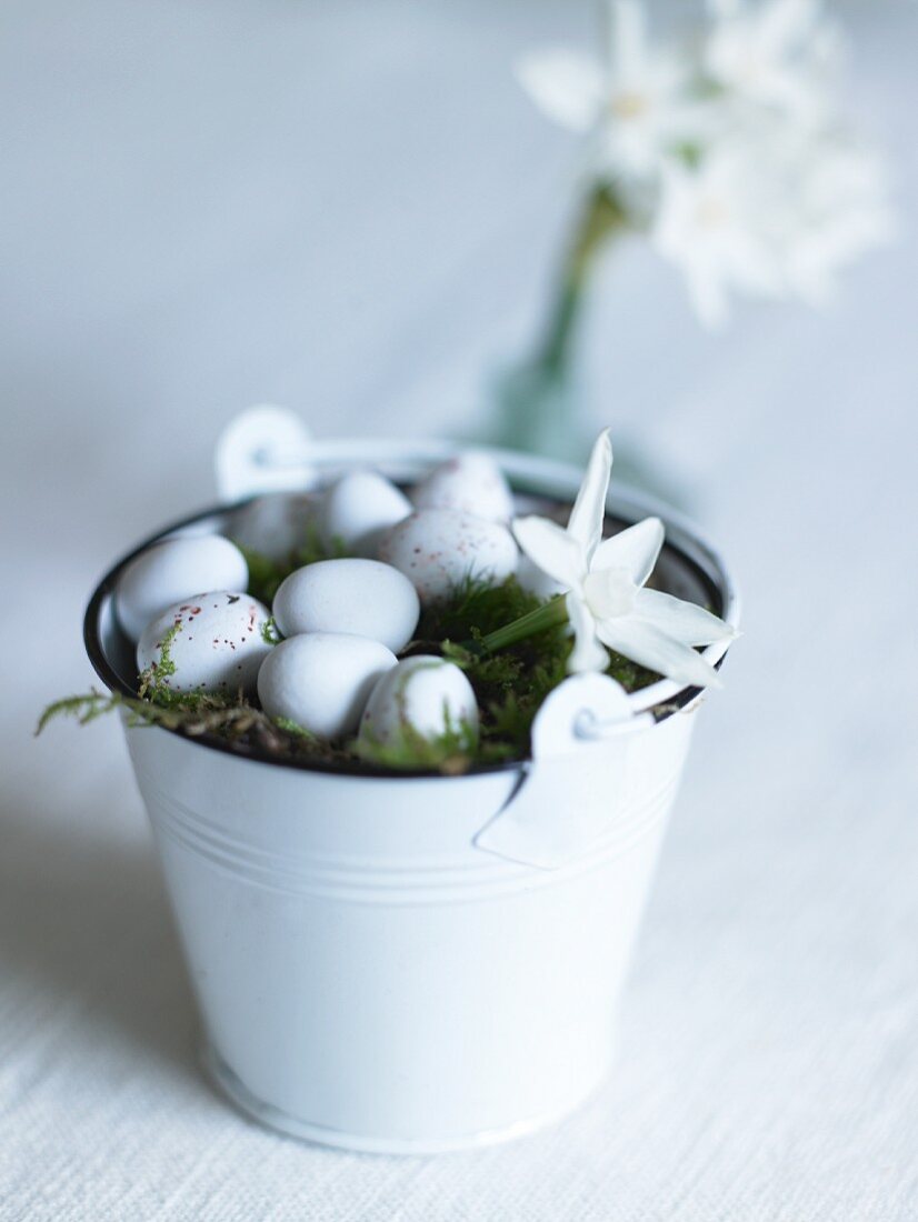 Quail's eggs and moss in a white metal container
