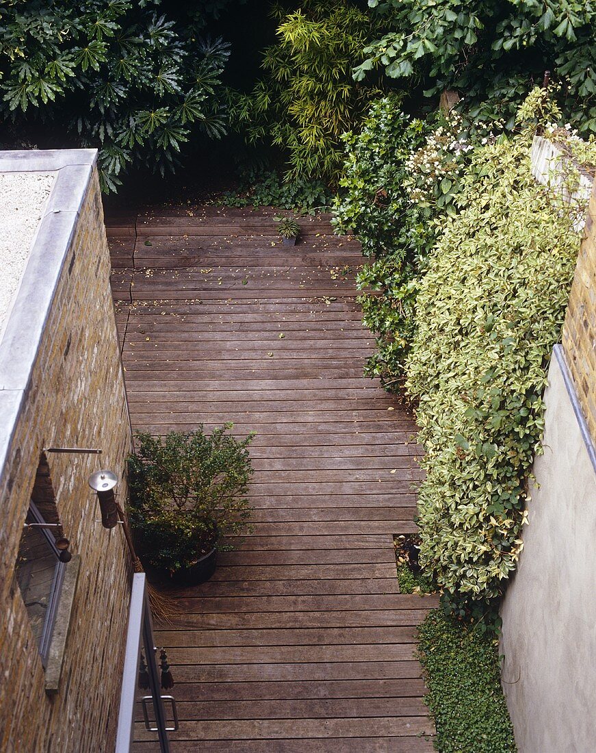 Blick auf begrünte Holzterrasse