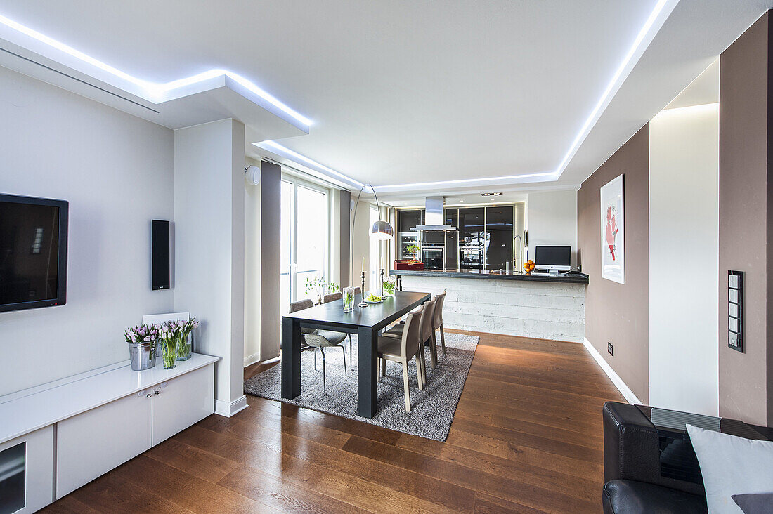 open kitchen in an apartment with a modern design, Hamburg, North Germany, Germany
