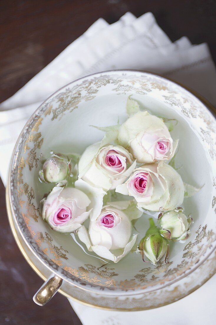 weiße Rosenblüten in Tasse mit Wasser gefüllt