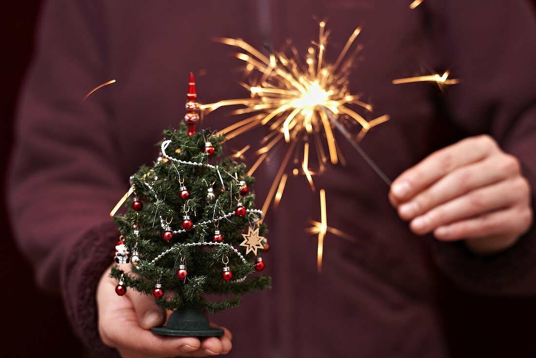 Person holding a miniature Christmas tree and a sparkler