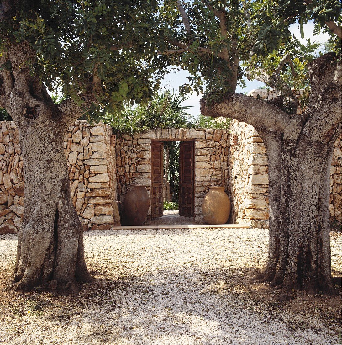 Zwei alte Bäume vor Natursteinmauer