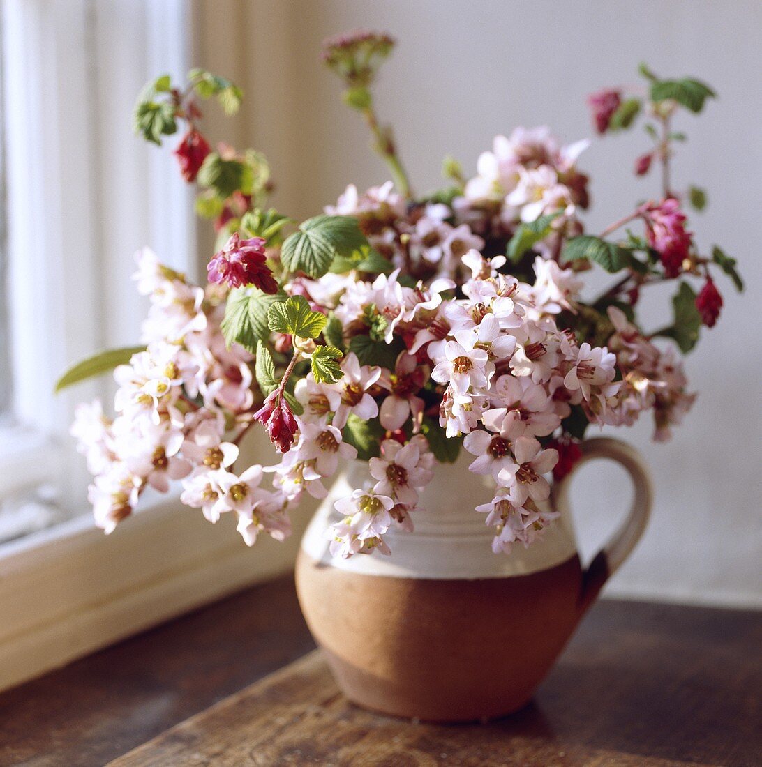 Krug mit rosa Frühlingsblumen