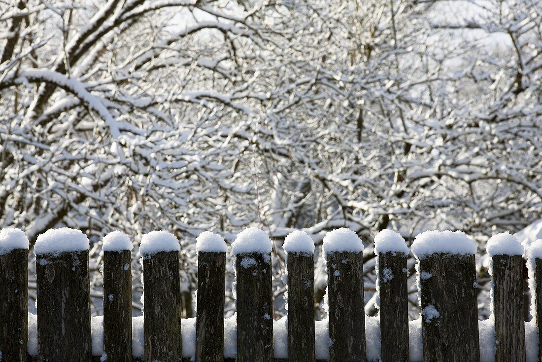 Holzzaun mit Schneehauben vor Winterlandschaft