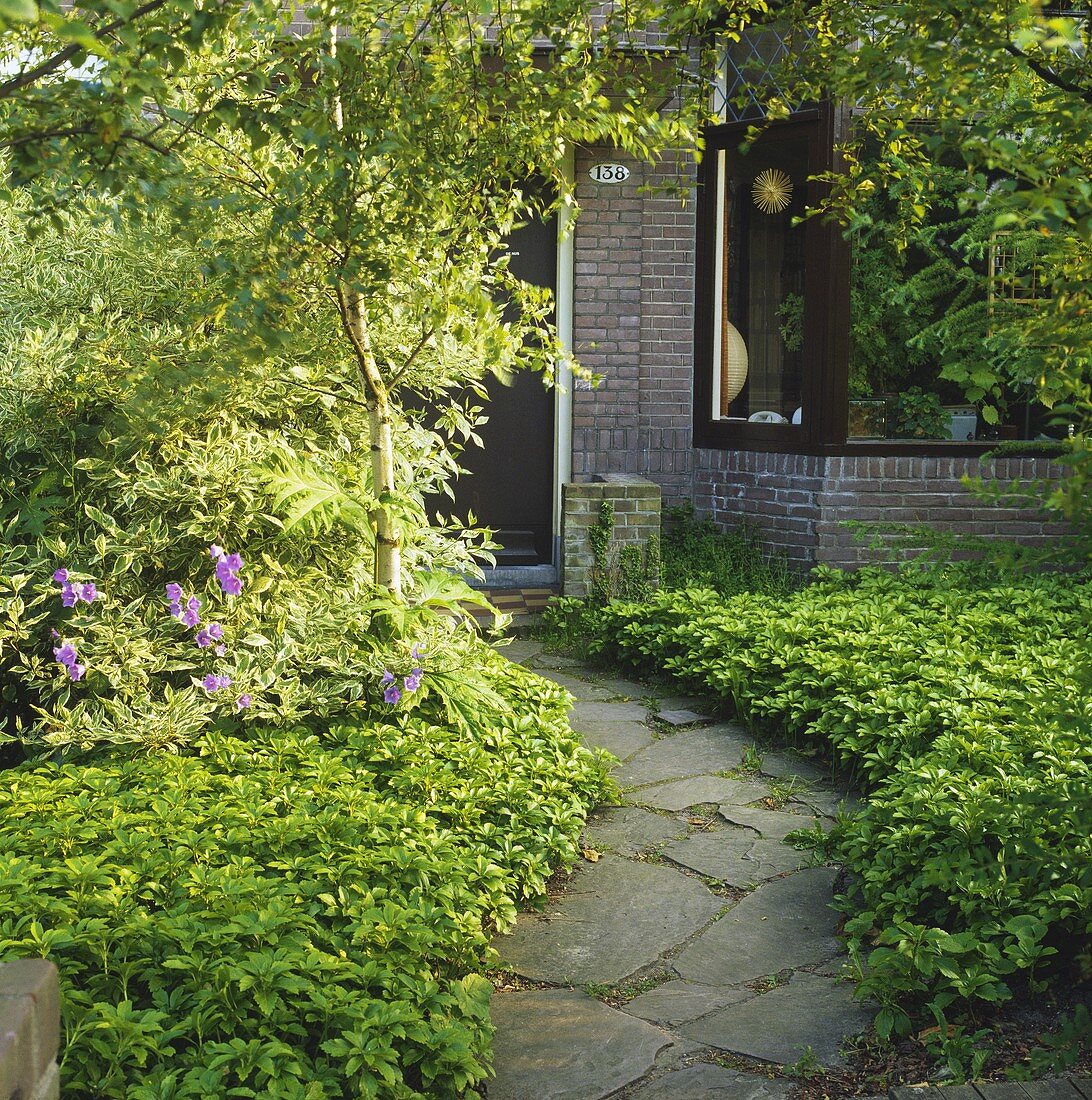 Gepflasterter Gartenweg führt zum Haus