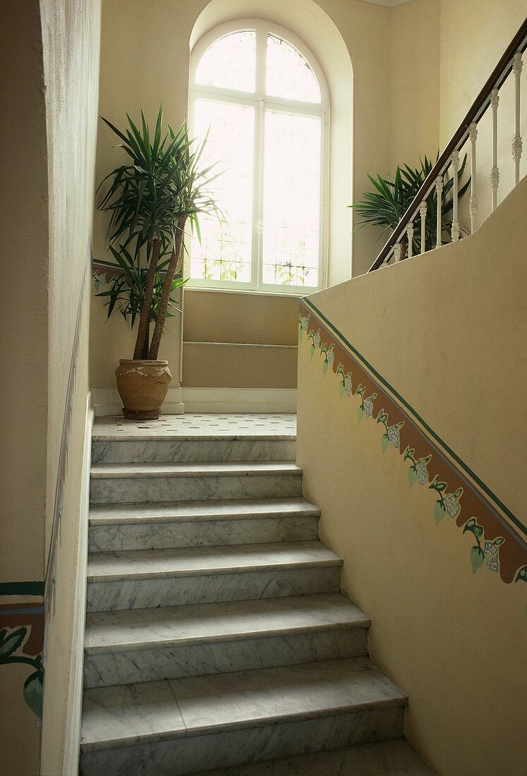 Treppenhaus mit Marmorfliesen, mit Bordüre an der Wand und Drachenbaum
