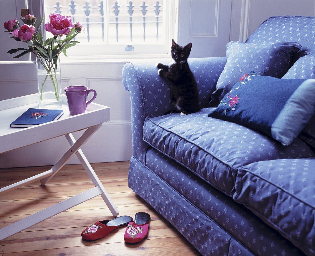 Schwarze Katze auf blauer Couch mit Muster neben weißem Beistelltisch