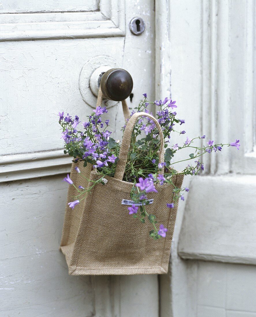 Flowers in a jute sack