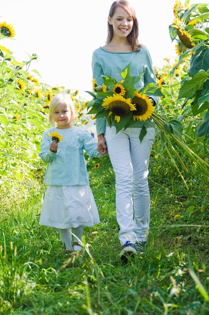 Grosses Mädchen mit kleiner Schwester auf einem Sonneblumenfeld