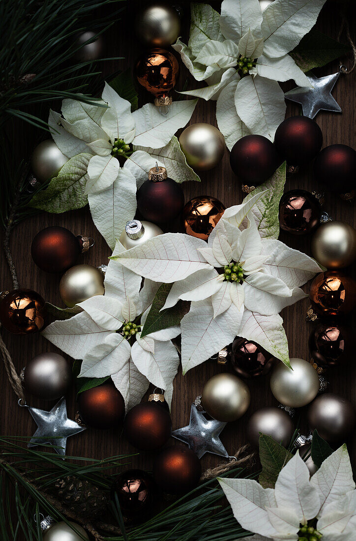 Weisse Weihnachtsterne mit Weihnachtskugeln und Weihnachtsdeko