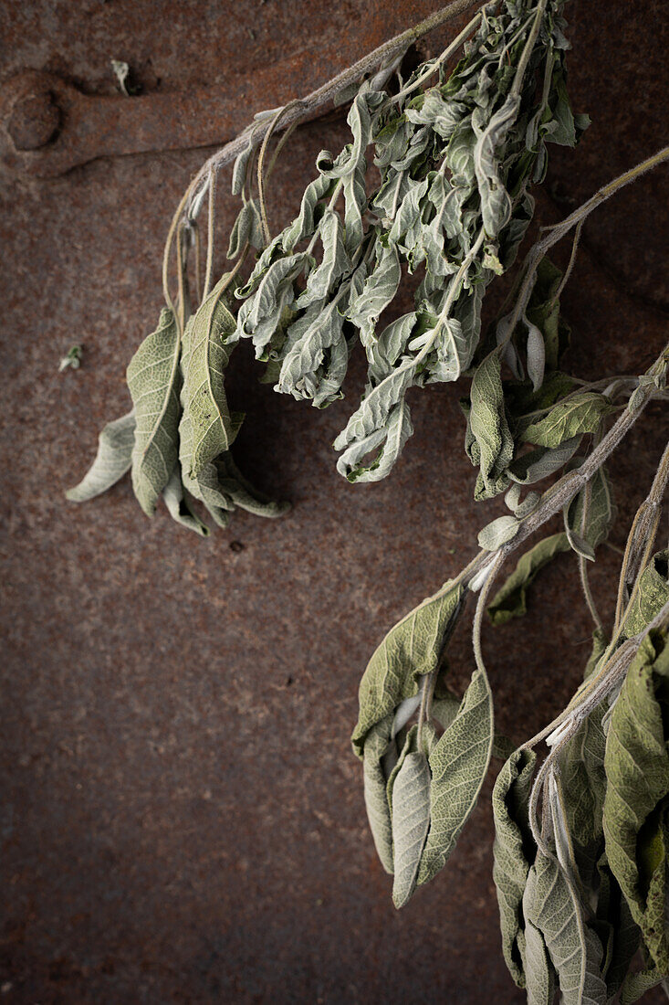  Dried sage and mint 