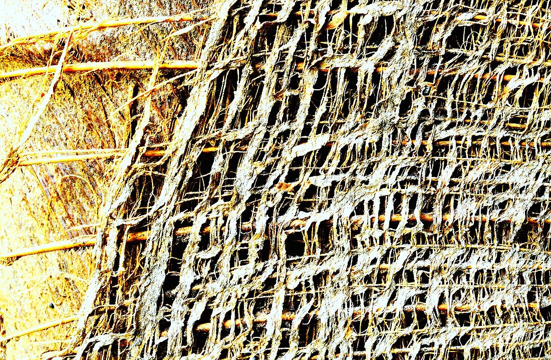 An abstract woven structure
