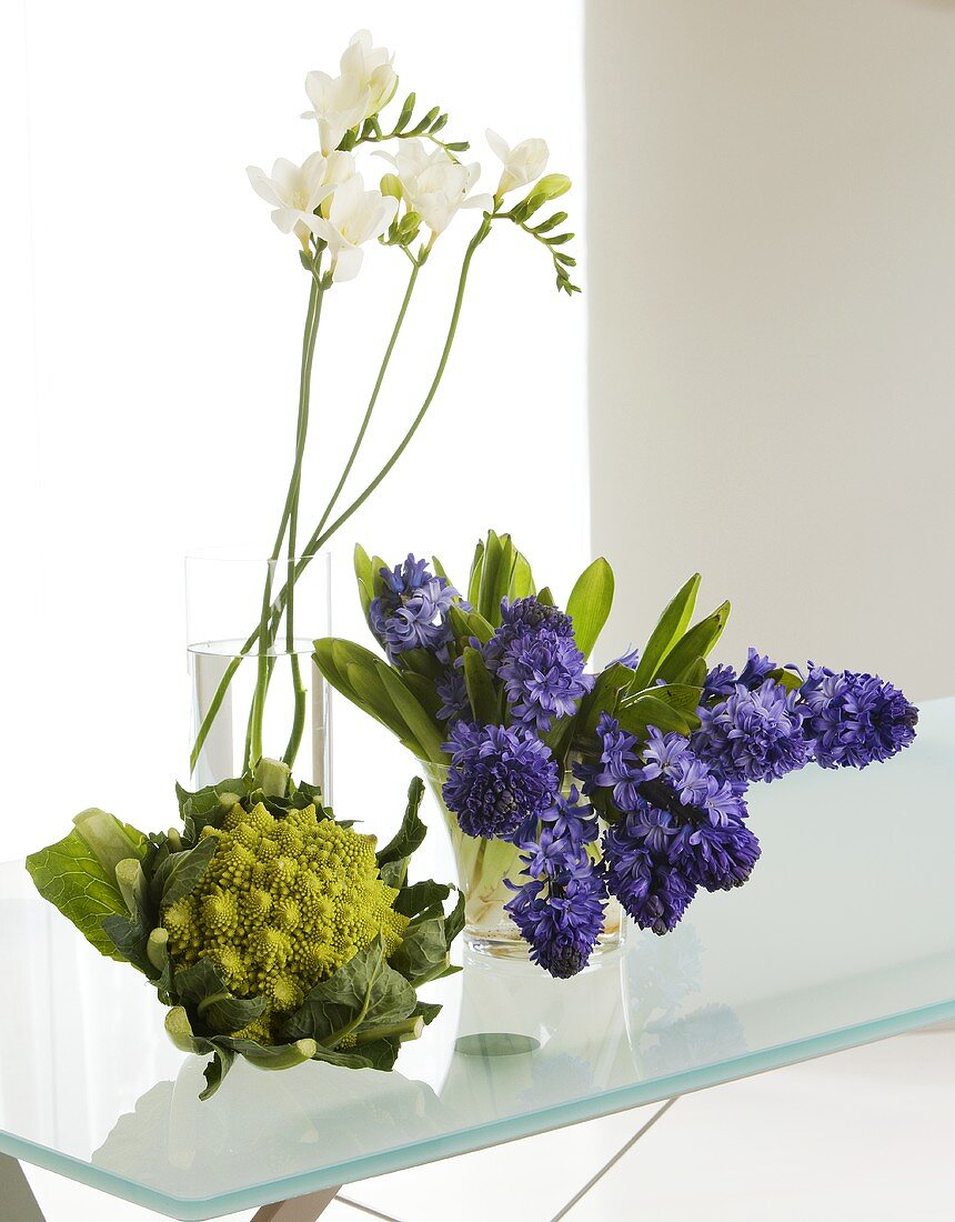 Ein Kopf Romanesco, Freesien und Hyazinthenblüten auf einem Glastisch