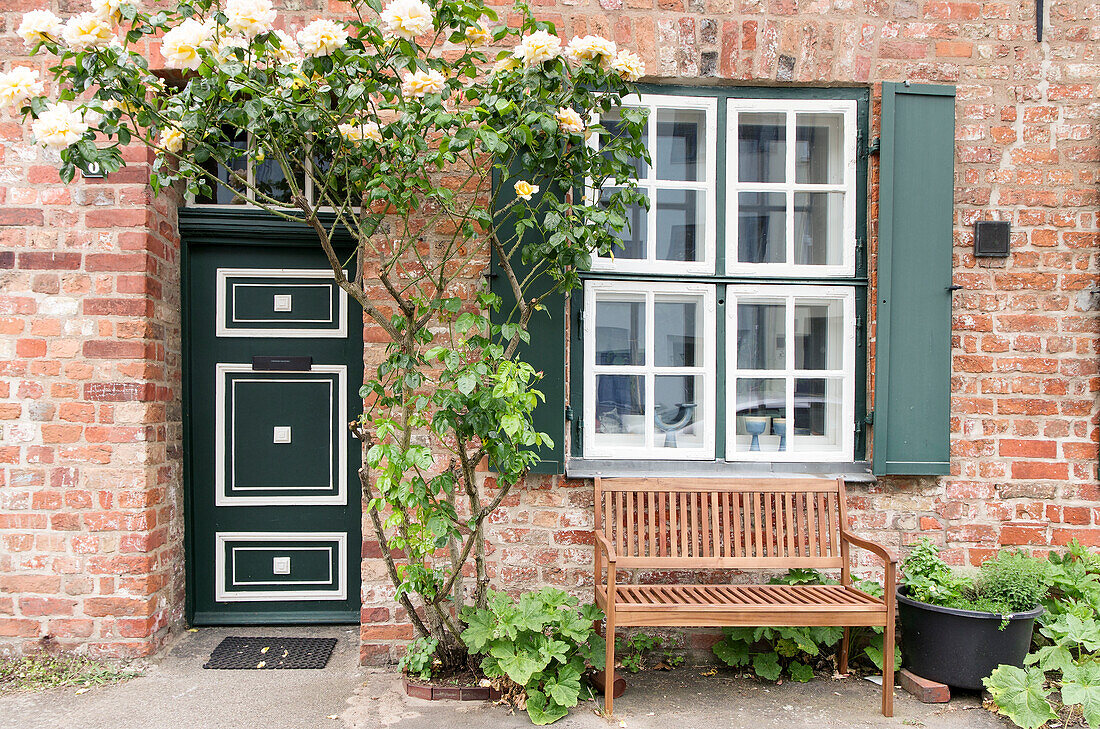  House entrance and bench decorated with climbing rose 