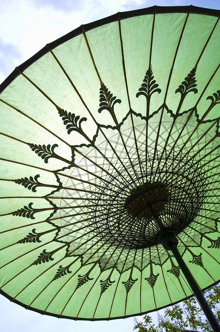An open green sunshade with an oriental pattern