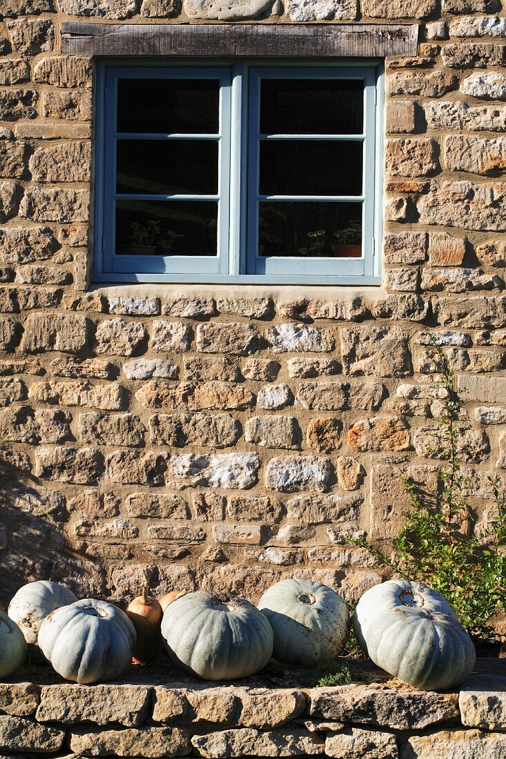 Kleine Kürbisse unter hellblauem Sprossenfenster in Natursteinfassade eines alten Landhauses