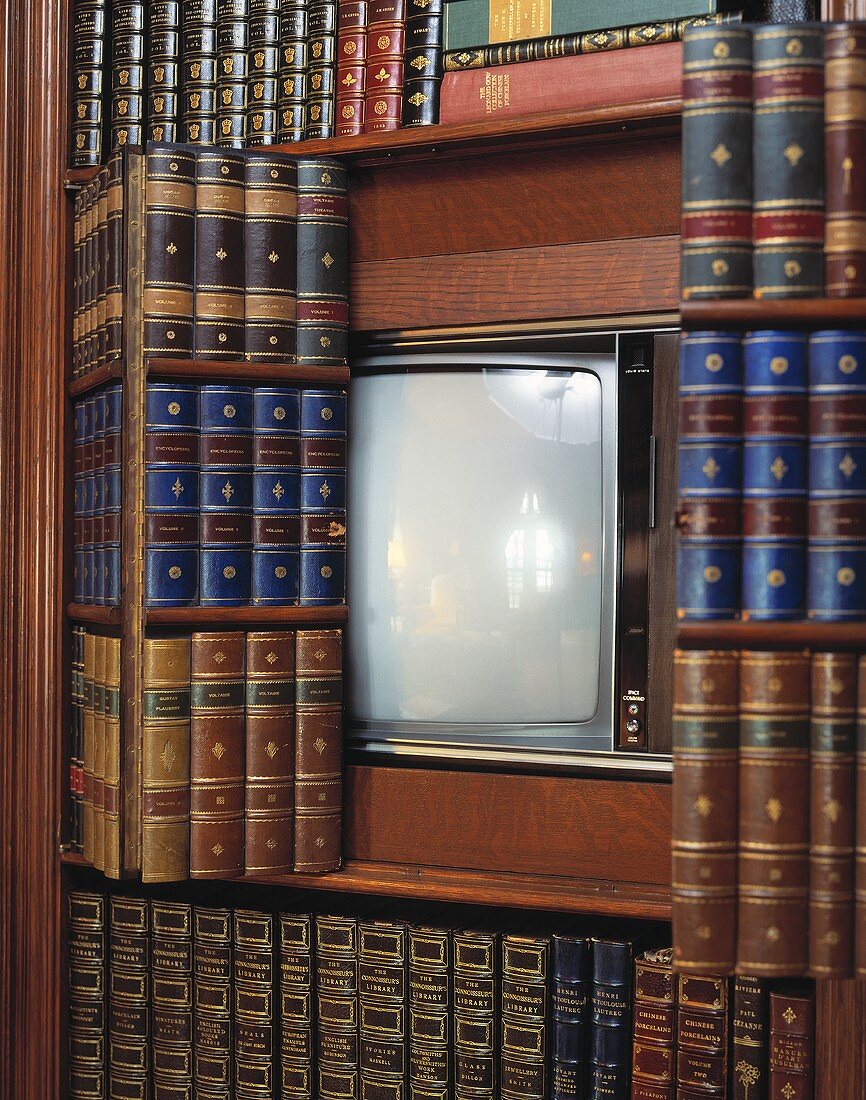 Ein Fernseher, versteckt hinter einer Falttür in einem Bücherregal