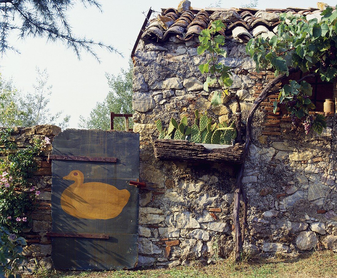 Alte Steinmauer und ein Holztor mit Entenmotiv in einem toskanischen Garten