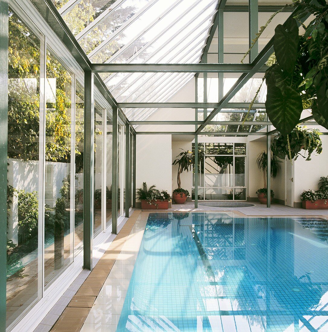 Ein verglaster Wintergarten mit einem Swimming-Pool und Zimmerpflanzen