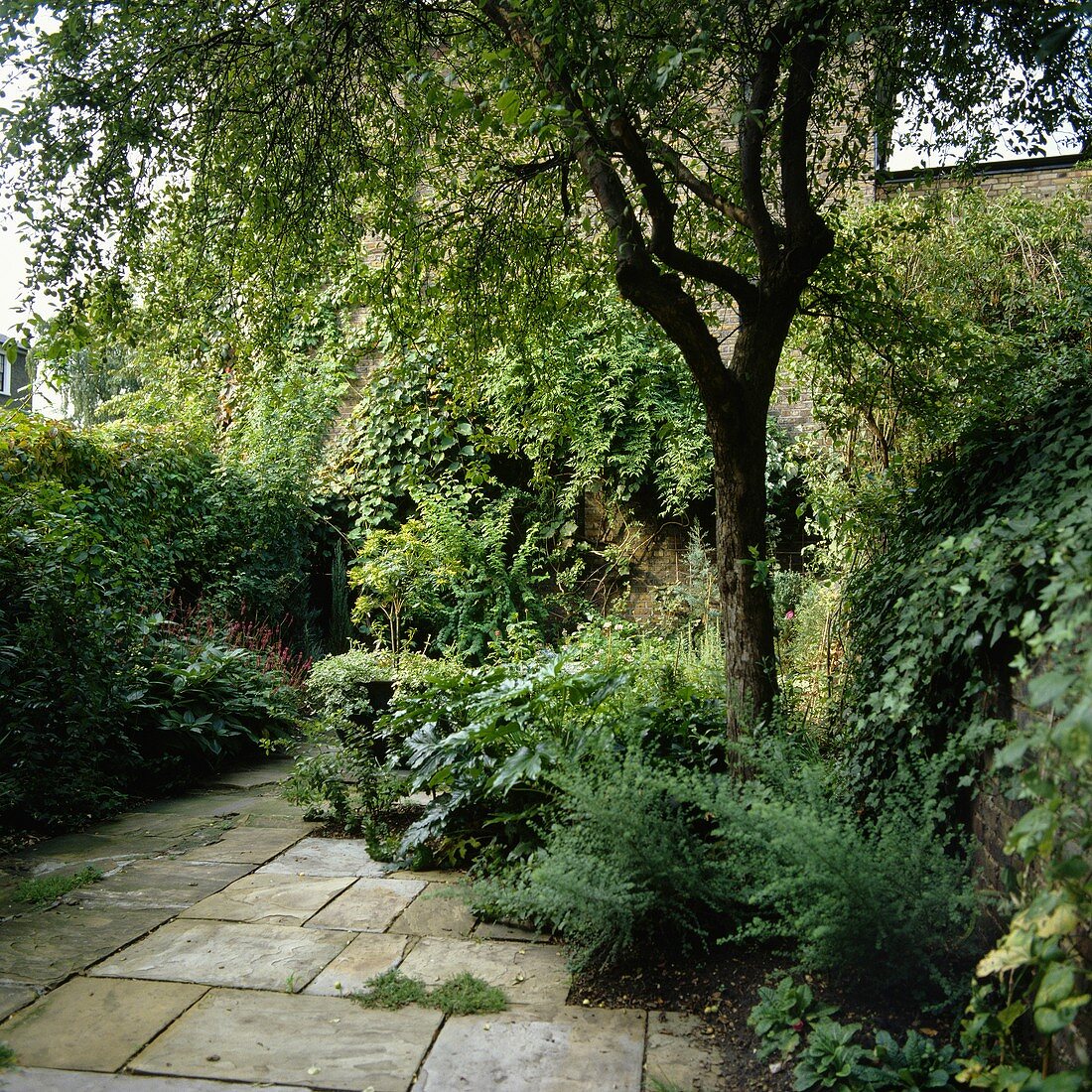 Garten mit Steinpflastern und grünen Pflanzen