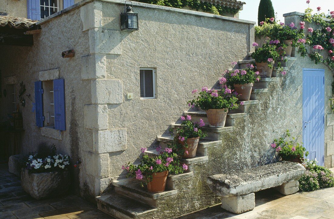 Rosa Geranien in Töpfen auf den Treppenstufen an einem Haus in der Provence