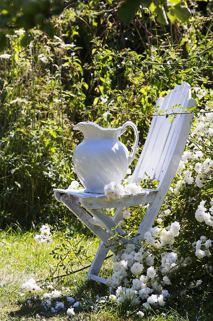 Weißer Krug auf weißem Gartenstuhl vor blühenden Rosen