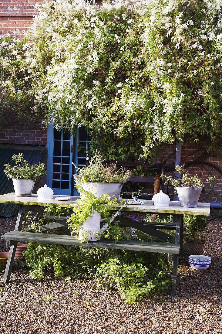 Pflanzen in Metallbehältern auf Tisch vor Mediterraner Haus und geschottertem Hofplatz