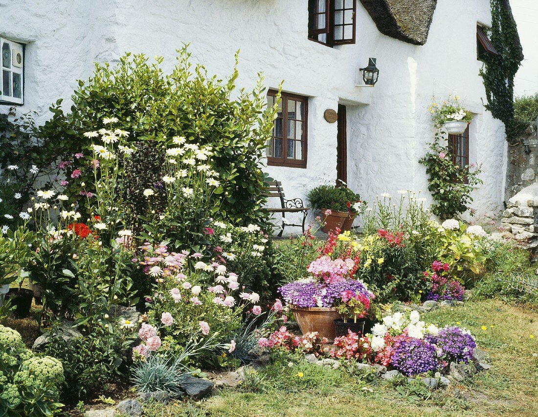 Blühender Garten vor weiss getünchter Fassade eines Landhauses