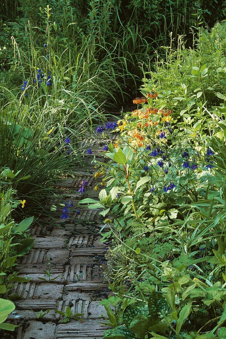 Gepflasterter Weg im blühenden Garten