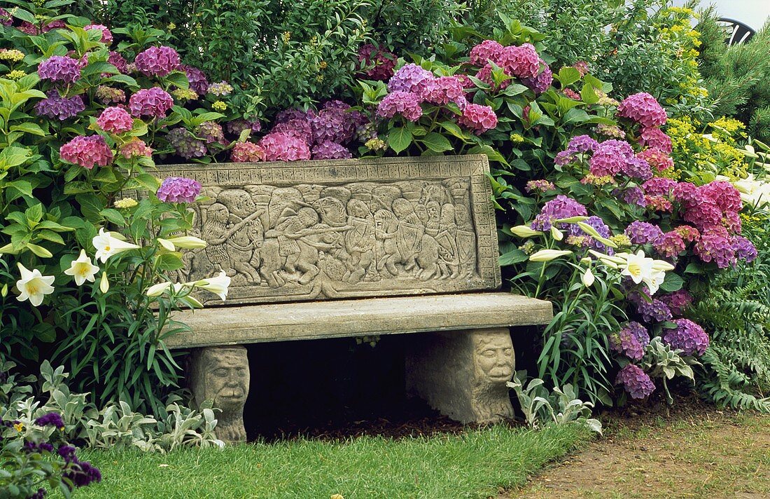 Steinbank vor rosa Hortensien im Garten