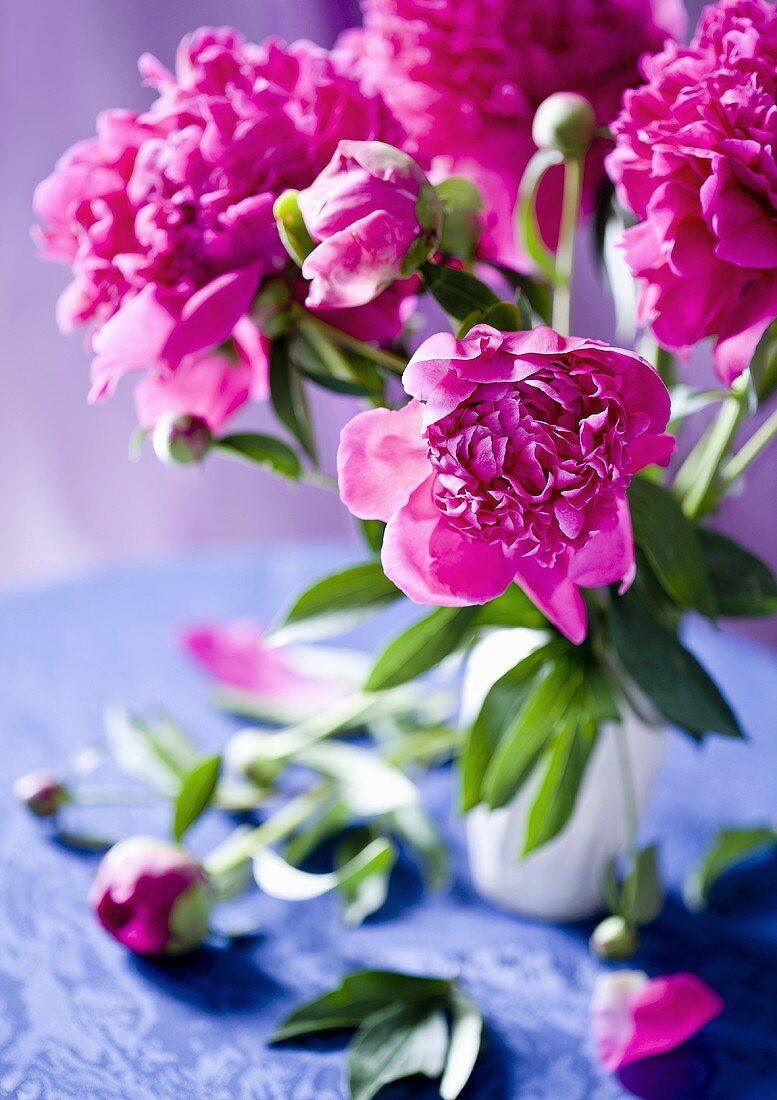 A bunch of peonies in a vase
