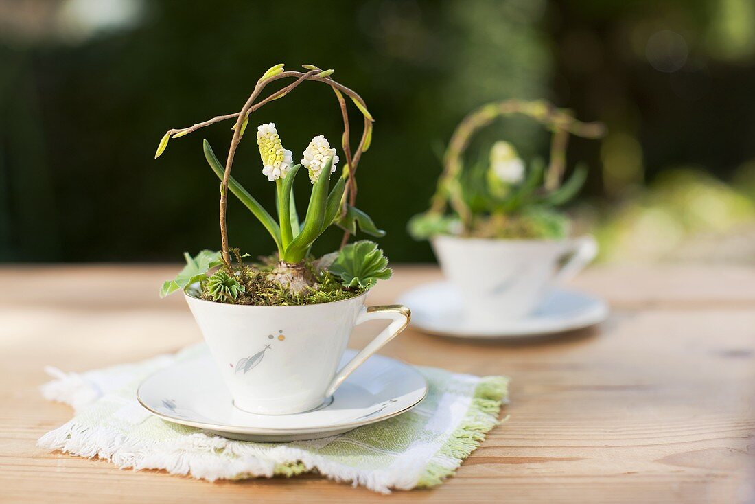 Spring table decoration in a porcelain cups