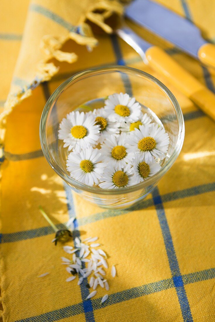 Daisies in a glass of water on a yellow tablecloth