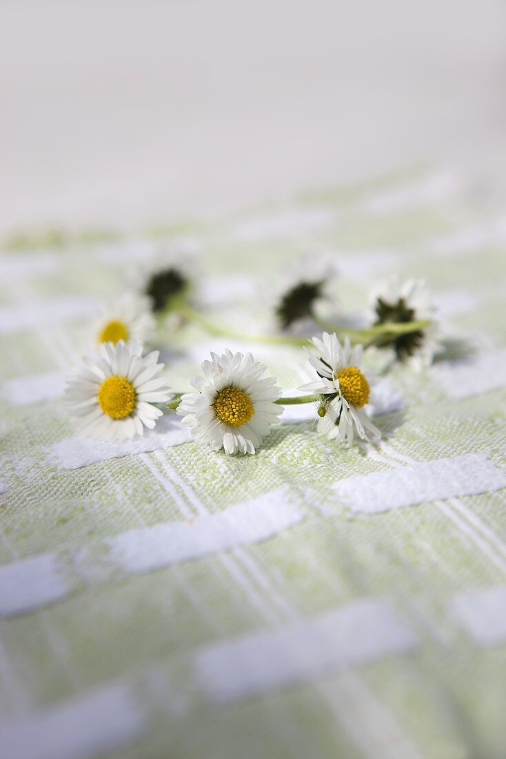 A wreath of daises on a table