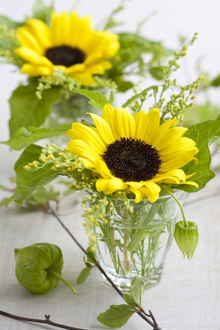 Sonnenblumen mit Solidago & grünen Lampionblumen