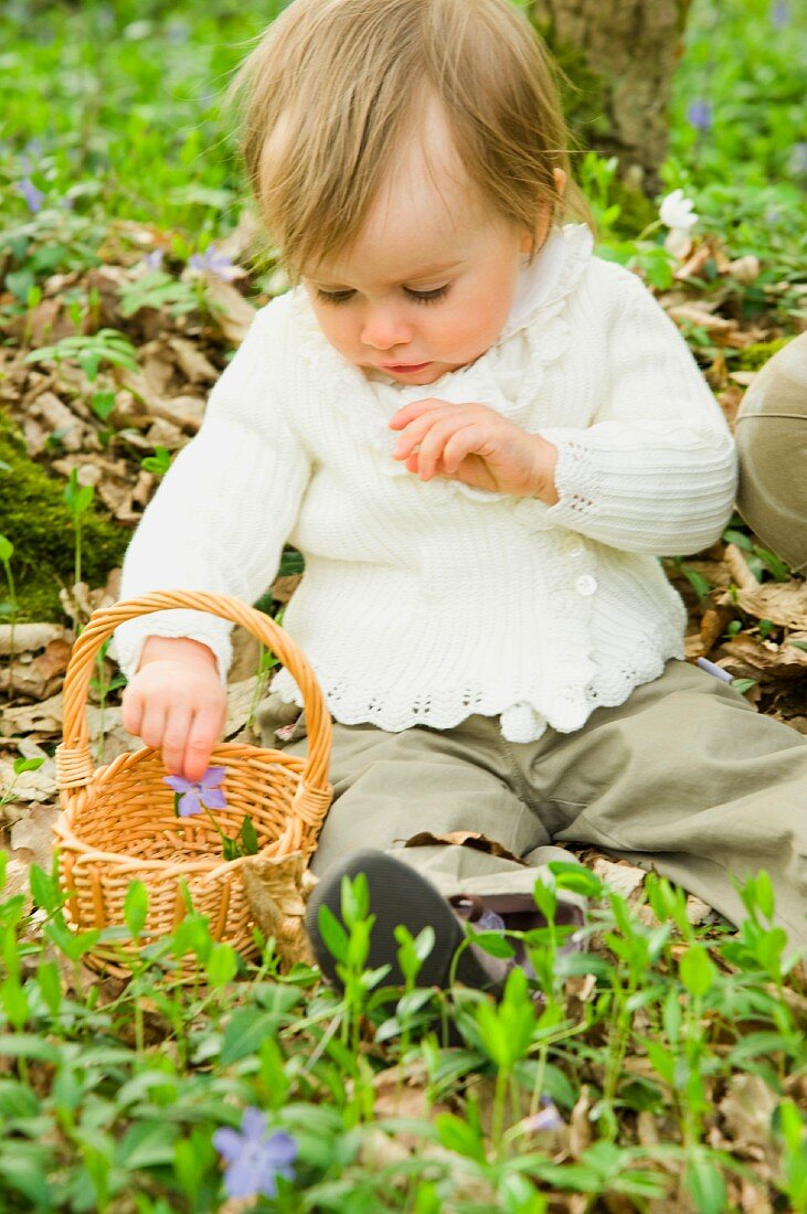 A small child with a basket sitting on the forest floor