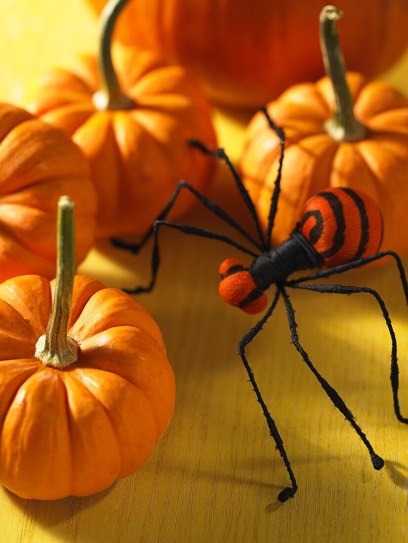 Orangefarbene Kürbisse und eine Spinne