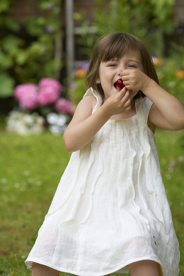Kleines Mädchen isst Kirsche im Garten