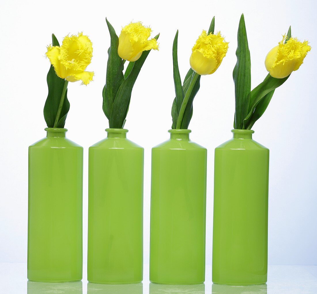 Gelbe Tulpen in grünen Vasen