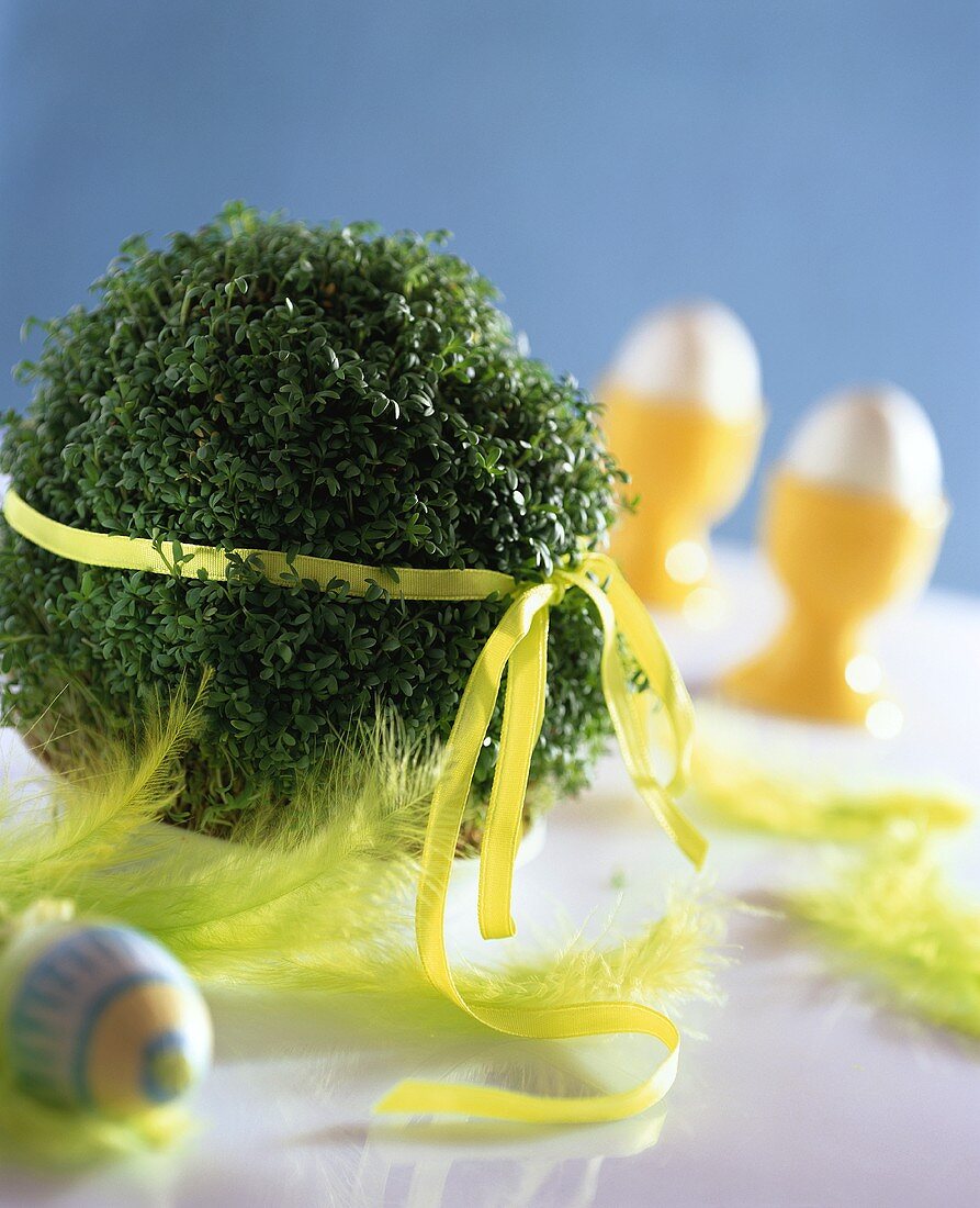 Easter decoration of fresh cress