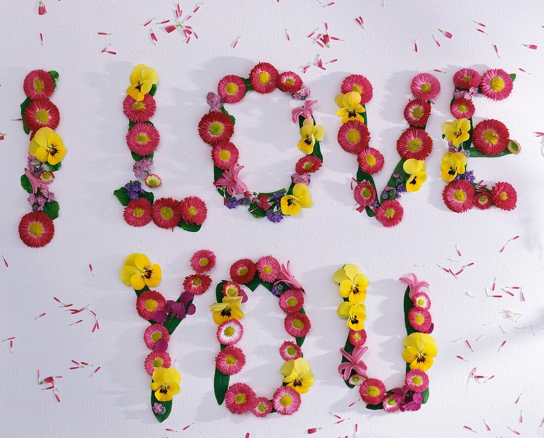 The words 'I love you' in spring flowers