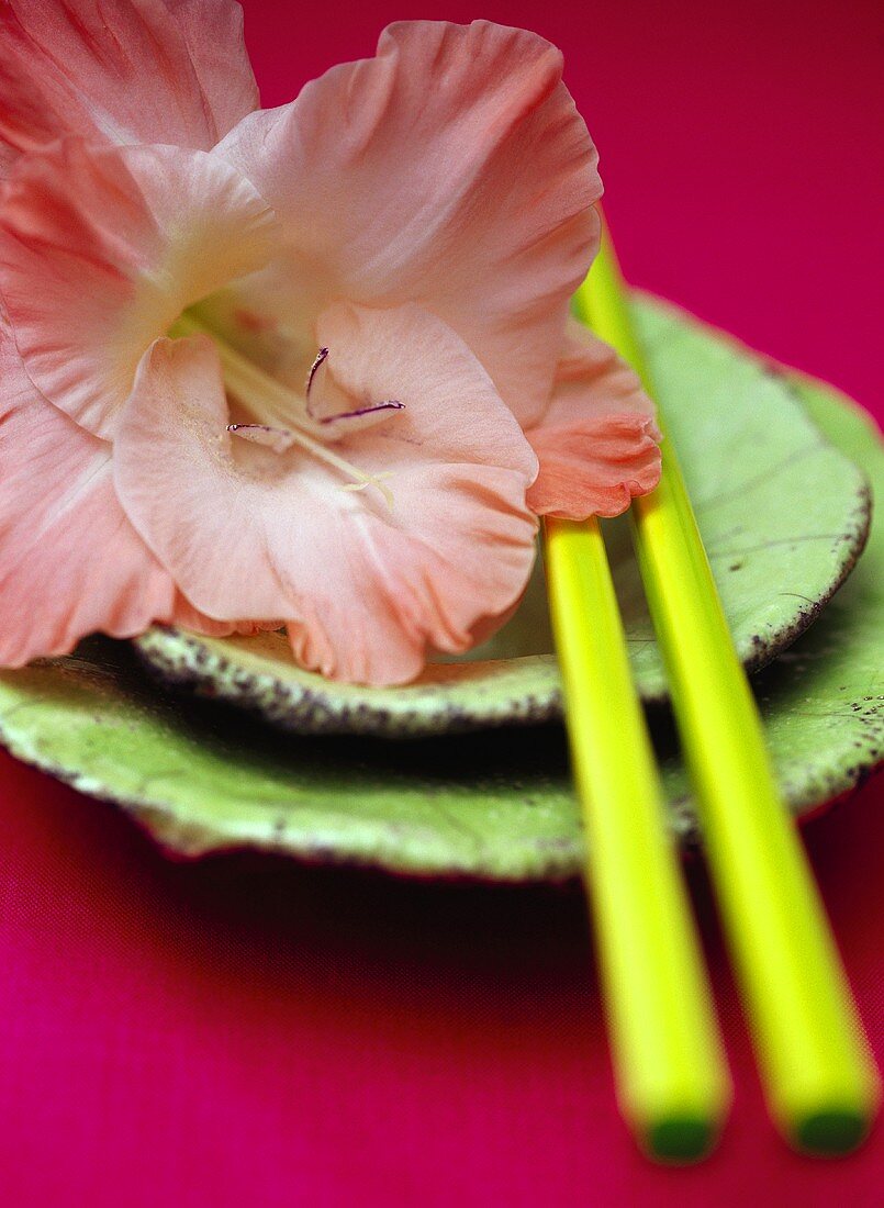 Bowl with chopsticks and flower